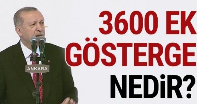 3600 ek gösterge nedir?